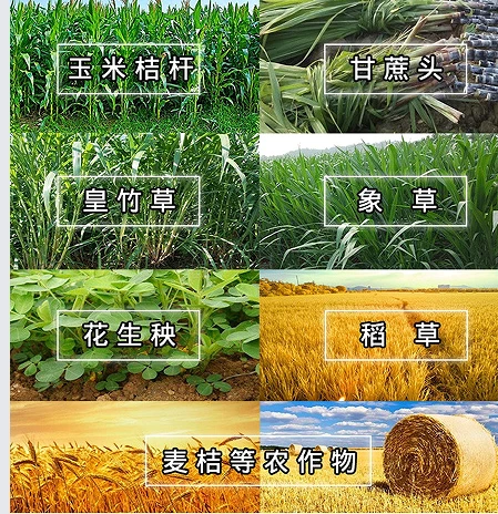 product-1-1 c60025fb-c7cd-48bc-9f69-17f38576176a